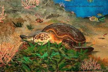 peinture murale d'une tortue
