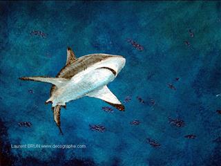 peinture murale d'un requin 