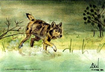 Tableaux et peintures animalières d'un loup qui pêche