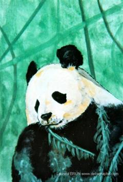 portrait peinture d'un panda