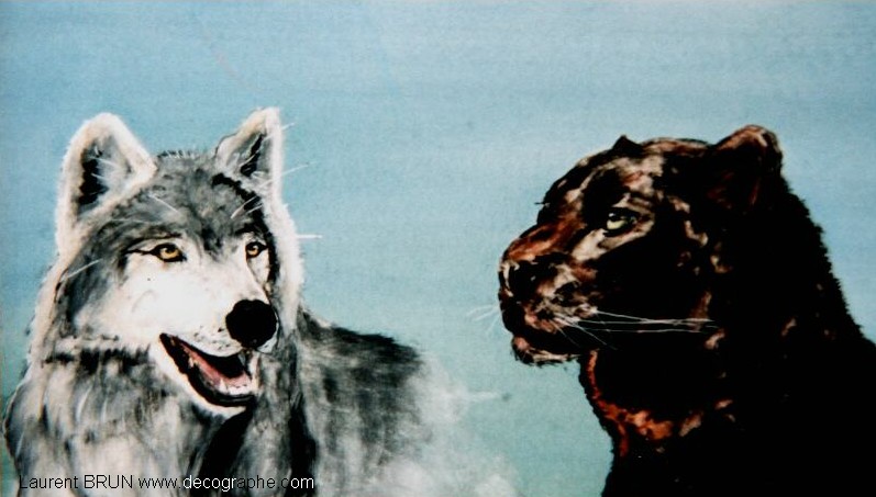 portrait d'un loup et d'une panthère noire