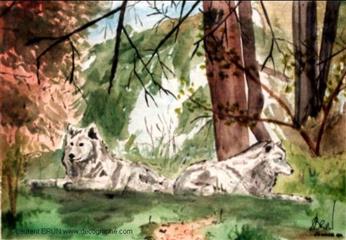 Tableaux et peintures animalières de loups blancs au repos