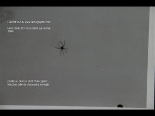 peinture d'une araignée sur le mur