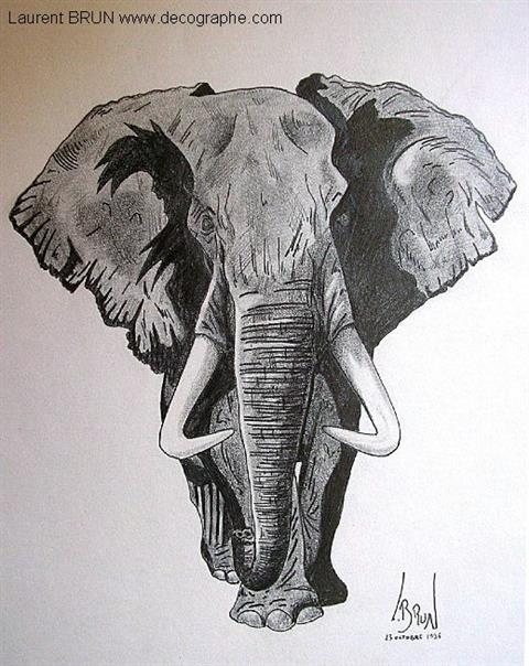 dessin d'un éléphant d'afrique
