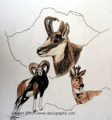 peinture animale d'un chamois mouflon chevreuil