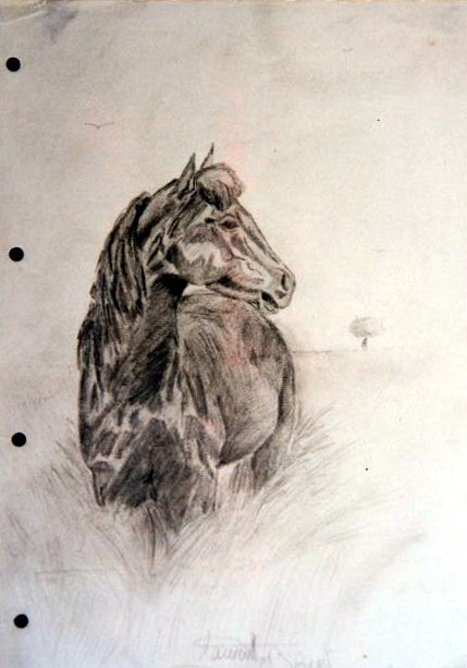 dessin d'un cheval