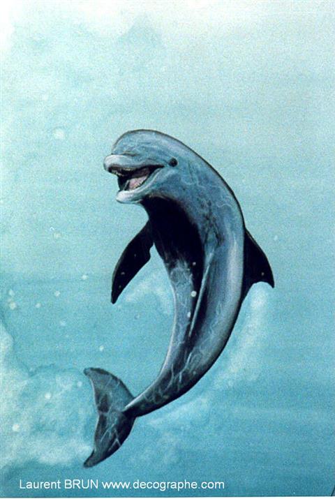 peinture d'un dauphin flipper