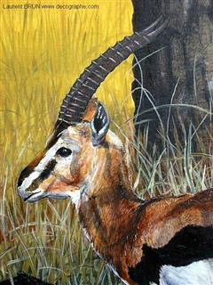 peinture d'un portrait d'une gazelle de thomson