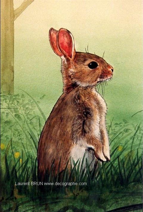peinture d'un lapin de garenne