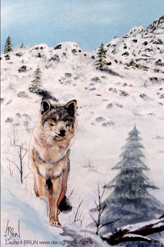 Tableaux et peintures animalières approche d'un loup wolf