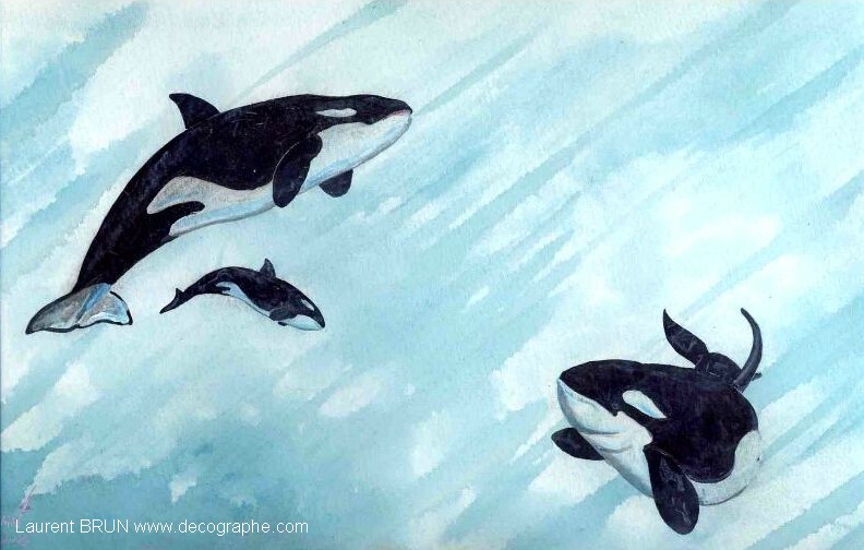 peinture d'une petite famille d'orques